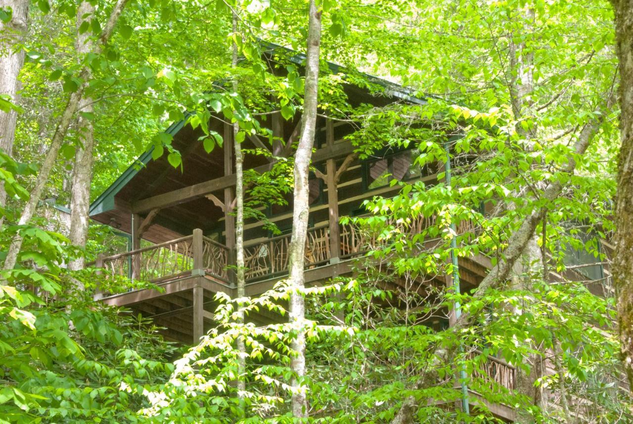 Отель Cherokee Mountain Cabins Llc Topton Экстерьер фото
